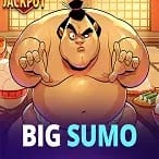 Big Sumo game icon